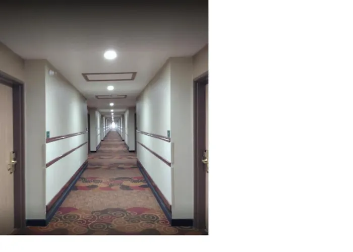 Comfort & - Peoria 3* Morton