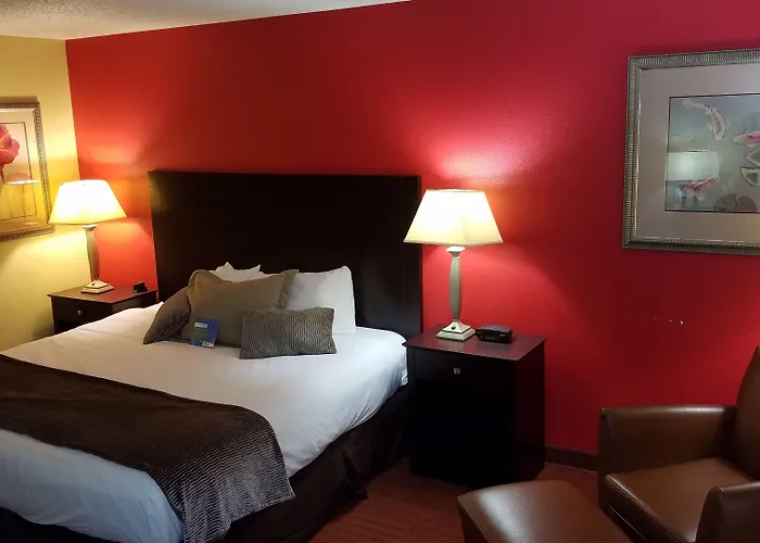 Comfort & - Peoria Morton