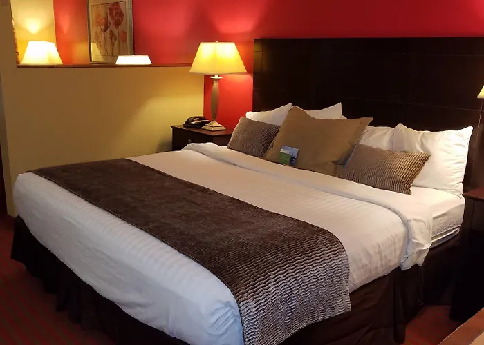 Comfort & - Peoria 3*