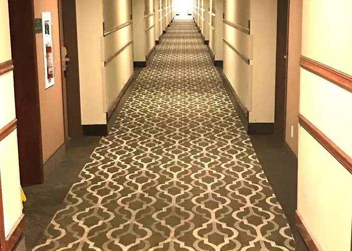 Comfort & - Peoria