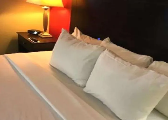 Hotel Comfort & - Peoria Morton