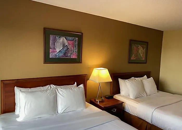 Comfort & - Peoria