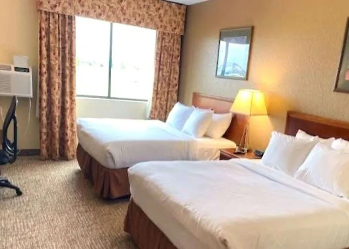 Comfort & - Peoria